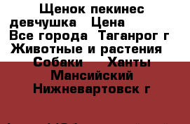 Щенок пекинес девчушка › Цена ­ 2 500 - Все города, Таганрог г. Животные и растения » Собаки   . Ханты-Мансийский,Нижневартовск г.